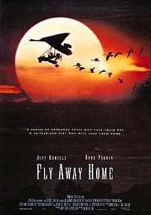 FLY AWAY HOME